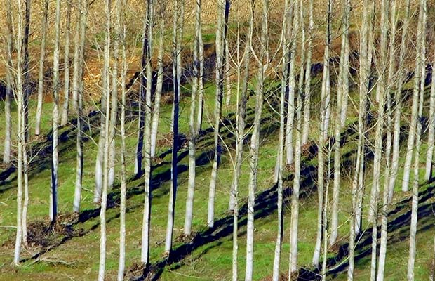 Assicurazione eventi climatici