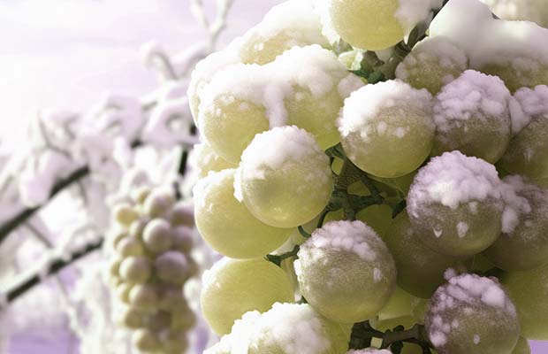 Assicurazione eventi climatici